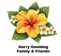 harrygoulding