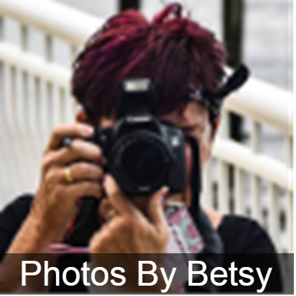 Logo for Photos by Betsy, 2025 Lil' Miss Hibiscus Sponsor