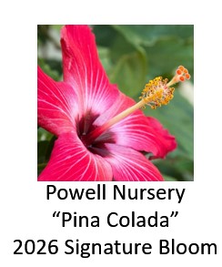 2026 Signature Bloom