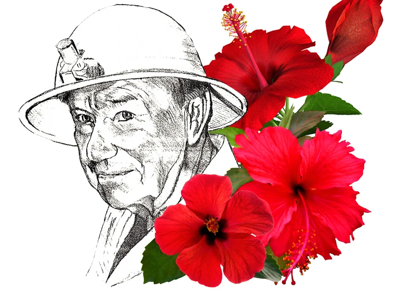 Hibiscus Festival Iconic image of a woman with a hard hat and light and hibiscus flowers